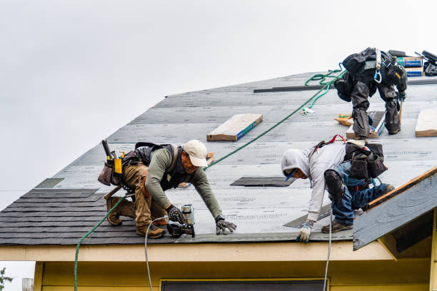 Professional Gutter Installation technician working in Camden Wyoming, DE